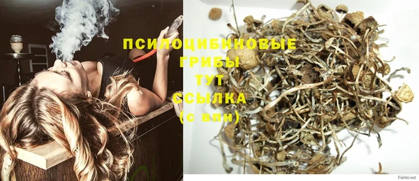 марихуана Абаза