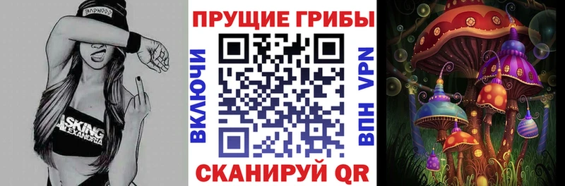 Псилоцибиновые грибы Cubensis  Магнитогорск 