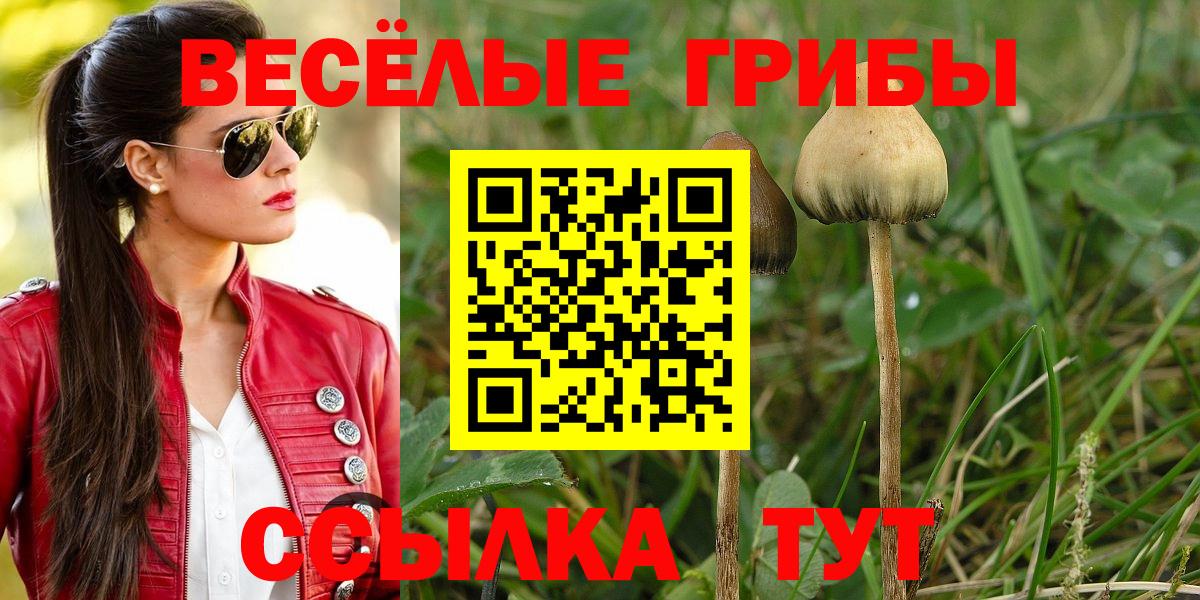 Псилоцибиновые грибы ЛСД  Псилоцибиновые грибы Magic Shrooms  Вход с VPN  купить закладку  Магнитогорск 
